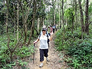 PA090084.JPG (399871 bytes)