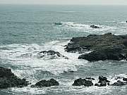 PA300014.JPG (260167 bytes)