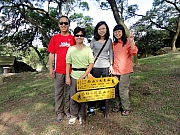 PB130006.JPG (343841 bytes)