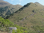 PB130076.JPG (318960 bytes)