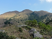 PB130078.JPG (246062 bytes)