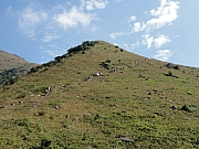 PB130082.JPG (254532 bytes)