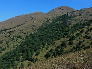 PB130086.JPG (300619 bytes)