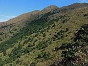 PB130089.JPG (306025 bytes)