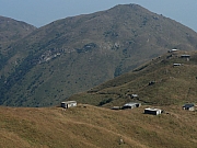 PB130094.JPG (183327 bytes)