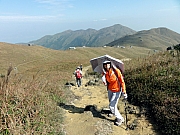 PB130098.JPG (268537 bytes)