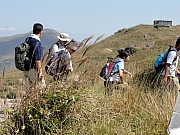 PB130140.JPG (305359 bytes)