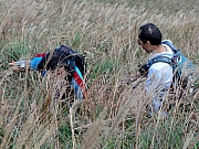PB130164.JPG (315337 bytes)