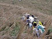 PB130166.JPG (307154 bytes)