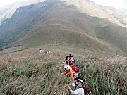 PB130169.JPG (259751 bytes)
