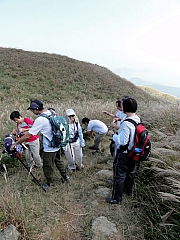 PB130176.JPG (248626 bytes)
