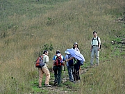 PB200020.JPG (243208 bytes)