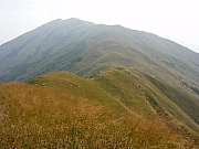 PB200057.JPG (173304 bytes)