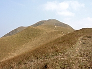 PB200078.JPG (202575 bytes)