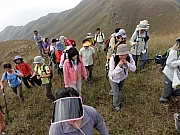 PB200140.JPG (273182 bytes)