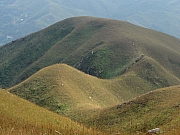 PB200154.JPG (196995 bytes)
