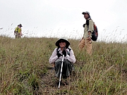 PB200161.JPG (250381 bytes)