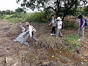 PB200185.JPG (365464 bytes)
