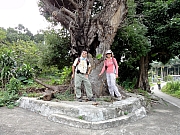 PB200189.JPG (331636 bytes)
