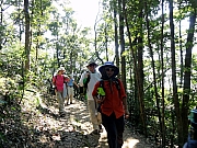 PB270025.JPG (392209 bytes)