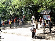 PB270055.JPG (350393 bytes)