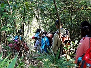 PB270060.JPG (373721 bytes)