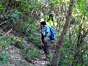 PB270062.JPG (312261 bytes)