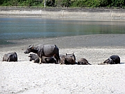 PC040225.JPG (210463 bytes)