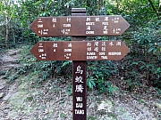 PC110008.JPG (342733 bytes)