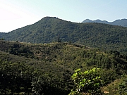 PC110015.JPG (235540 bytes)