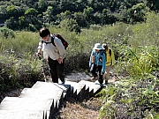 PC110016.JPG (360894 bytes)