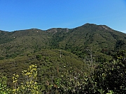 PC110017.JPG (257294 bytes)