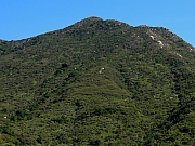 PC110019.JPG (250759 bytes)