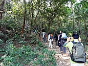 PC180021.JPG (398614 bytes)