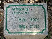 PC180046.JPG (288568 bytes)