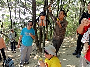 PC180061.JPG (312278 bytes)