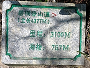 PC180068.JPG (311840 bytes)