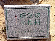 PC180135.JPG (323474 bytes)
