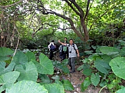 P1080005.JPG (275369 bytes)