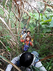P1080009.JPG (330028 bytes)