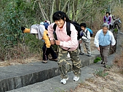 P1080014.JPG (261765 bytes)