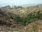 P1080118.JPG (319323 bytes)
