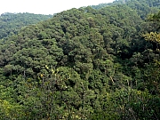 P1080152.JPG (369052 bytes)