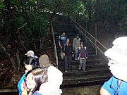 P1150001.JPG (211092 bytes)