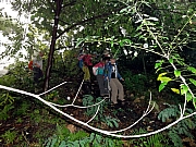 P1150006.JPG (336683 bytes)