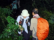P1150008.JPG (227472 bytes)