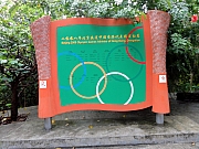 P1150124.JPG (235927 bytes)