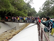 P1290017.JPG (247463 bytes)