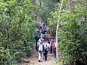 P1290020.JPG (375248 bytes)