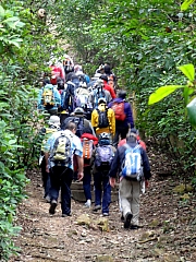 P1290021.JPG (310078 bytes)